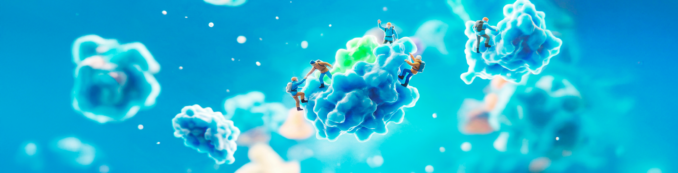 News Header Image
